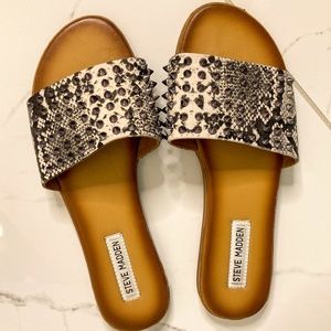 Steve Madden Studded Snake Sandal